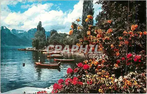 Cartes postales moderne Montreux 834 le quais
