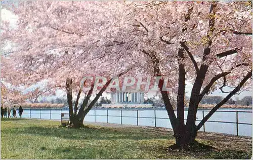 Moderne Karte Jefferson memorial Fleurs