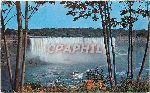 Cartes postales moderne American Falls and Maid of the Mist
