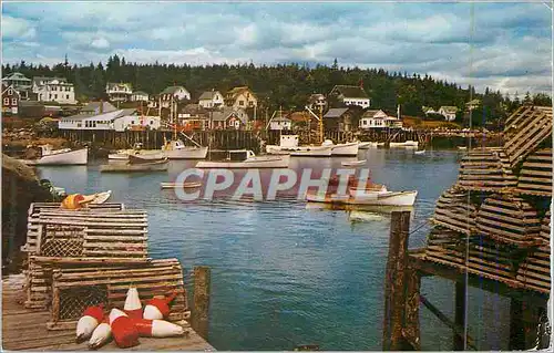 Cartes postales moderne A Typical Maine Village This is a View of New Harbor