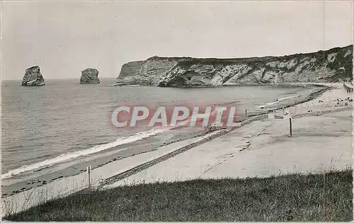 Cartes postales moderne Nos Belles Pyrenees Un Coin de la Plage et les Deux Jumeaux