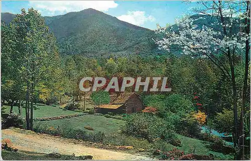 Cartes postales moderne Pioneer Mountain Home Great Smoky Mountains National Park Mt Leconte