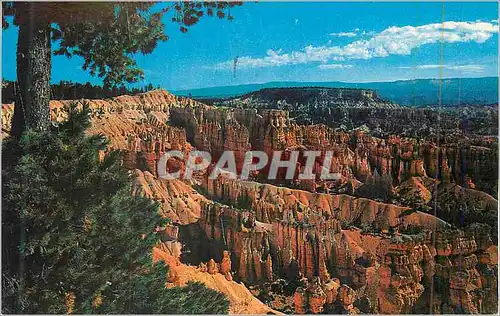 Cartes postales moderne Bryce Canyon Utah Sunset Point