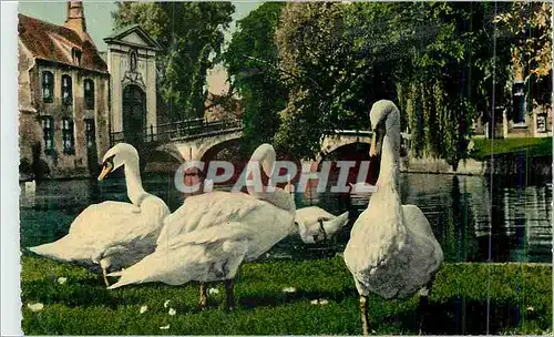 Cartes postales moderne Bruges Pont du Beguinage
