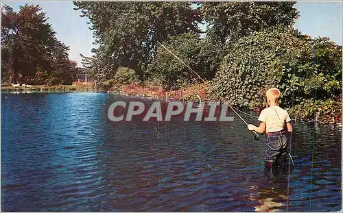 Cartes postales moderne The Alleghenies Provide Some of the Most Beautiful Scenes in the East Peche