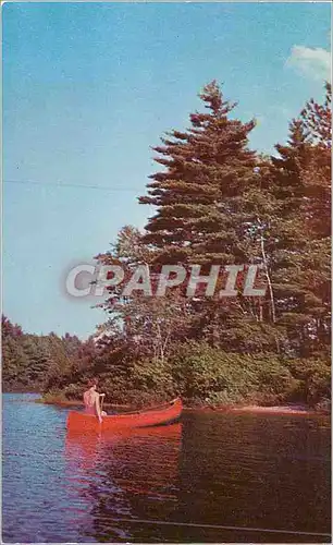 Cartes postales moderne The Alleghenies Provide Some of the Most Beautiful Scenes int the East