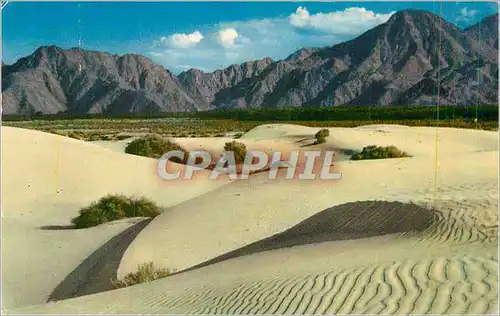Cartes postales moderne Southern California Sand Dunes