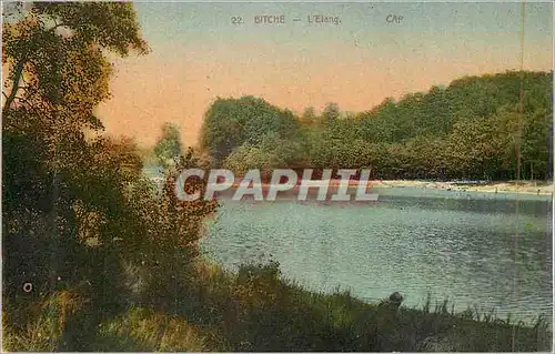 Cartes postales bitche (M et M) l'Etang Cap