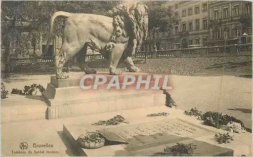 Cartes postales Bruxelles Tombeau du Soldat Inconnu Lion Militaria