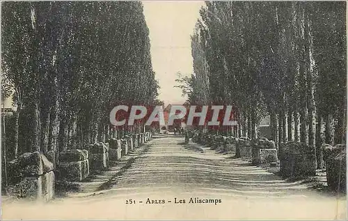 Cartes postales Arles Les Aliscamps