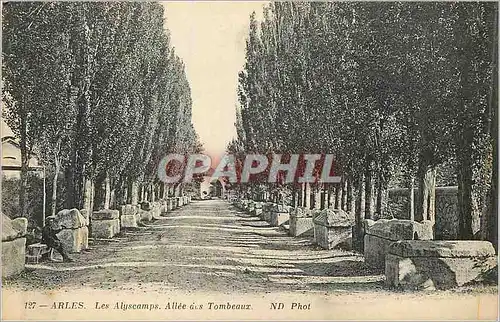 Ansichtskarte AK Arles Les Alyscamps Allee des Tombeaux