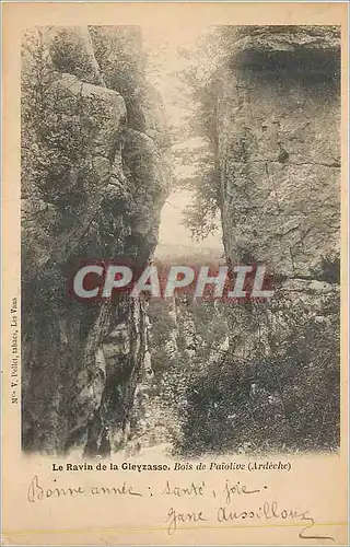 Cartes postales Le Ravin de la Cleyzasse Bois de Paiolive (Ardeche)