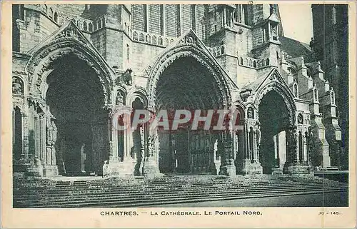 Cartes postales Chartres La Cathedrale Le Portail Nord