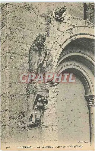 Cartes postales Chartres La Cathedrale l'Ane qui Vielle (Detail)