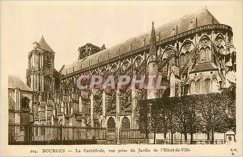 Cartes postales Bourges La Cathedrale Vue Prise du Jardin de L'Hotel de Ville