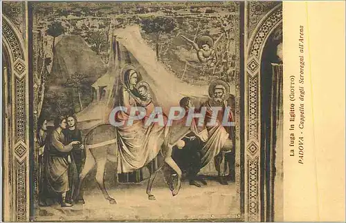 Cartes postales La Fuga in Egitto (Giotto) Padova Cappella Degli Scovegni All Arene