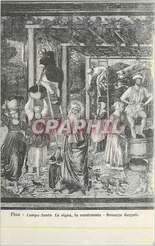 Cartes postales Pisa Compo santo La Vigna La Vendemmia Benozza Gozzoli Grandi Galerie di Sculture