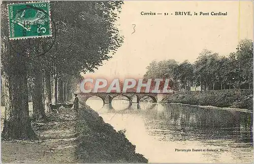 Ansichtskarte AK Correze Brive le Pont Cardinal