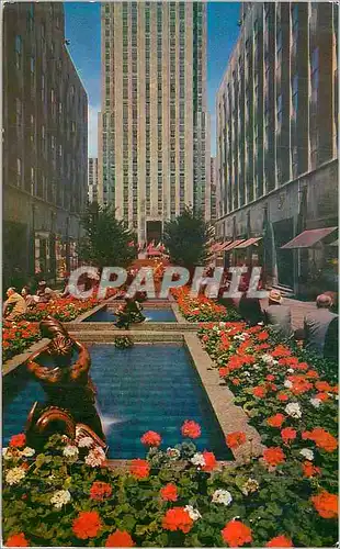 Moderne Karte Fontains and Gardens in the Promenade Rockefeller Plaza New York City
