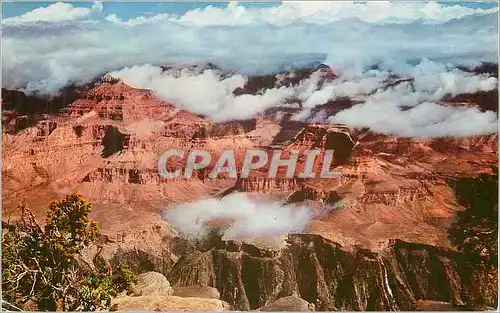 Cartes postales moderne Grand Canyon