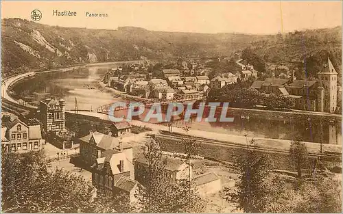 Ansichtskarte AK Hastiere Panorama Vues Choisies de la Vallee de la Meuse