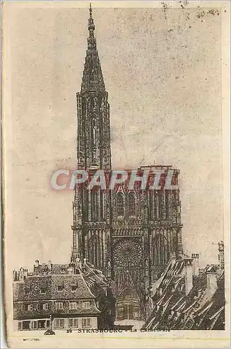 Cartes postales Strasbourg la Cathedrale