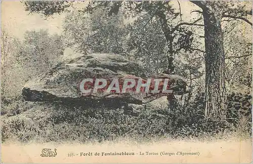 Ansichtskarte AK Foret de Fontainebleau la Tortue (Gorges d'Apremont)