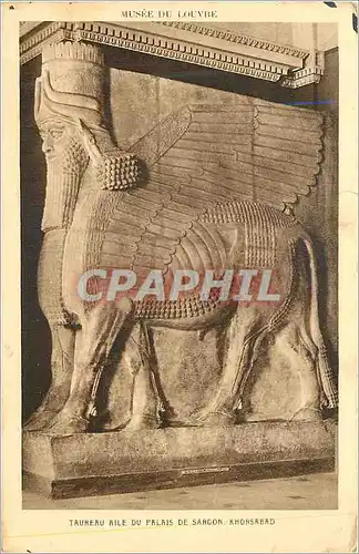 Cartes postales Taureau aile du Palais de Sargon