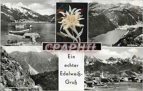 Cartes postales moderne Haller 1152m am Haldensee Ein Echter Edelweiss Gruss