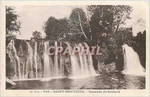 Ansichtskarte AK Saint Nectaire Cascade de Saillant