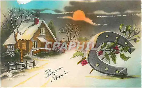 Cartes postales Bonne Annee Fer a cheval