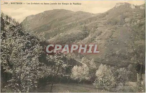 Cartes postales Mouthier Les Cerisiers en Fleurs (Entree des Gorges de Noailles)