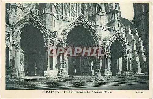 Ansichtskarte AK Chartres La Cathedrale le Portail Nord