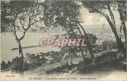 Cartes postales Nice Vue Prise entre les Pins Mont Boron