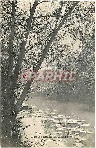 Cartes postales Les Bords de la Marne Un Coin Pittoresque
