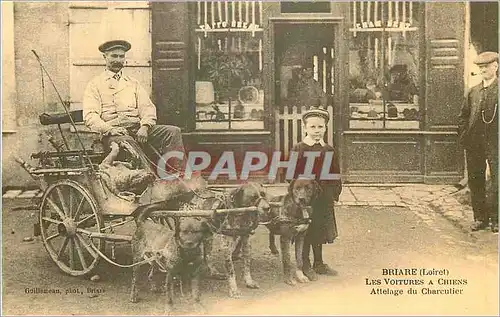 REPRO Briare (Loire) Les Voitures e Chiens Attelage du Charcutier