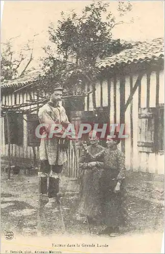 REPRO Facteur dans la Grande Lande