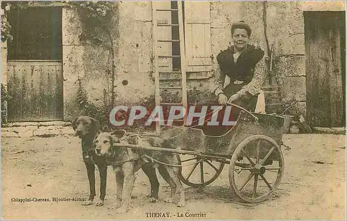 REPRO Thenay Le Courier Voiture a chiens