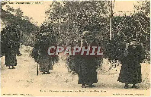 REPRO Les Pyrenees (6e Serie) Femmes Descendant le Bois de la Montagne