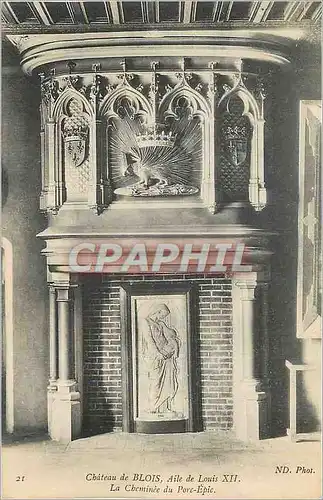 Cartes postales Chateau de Blois Aide de Louis XII La Cheminee du Porc Epic