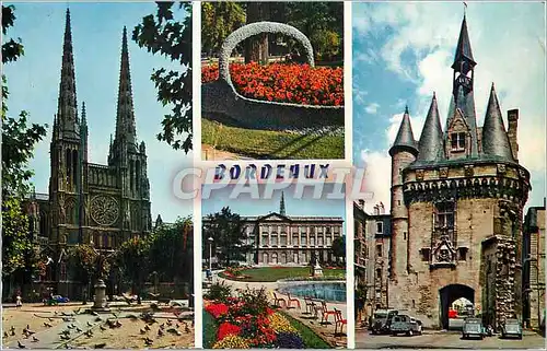 Cartes postales moderne Bordeaux (Gironde) La Cathedrale Saint Andre Le Panier Fleuri L'Hotel de Ville Porte Cailhau