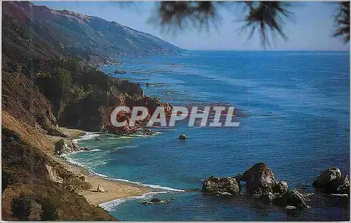 Cartes postales moderne Big Sur Coast Julia Pfeiffer Burns State Park Big Sur California
