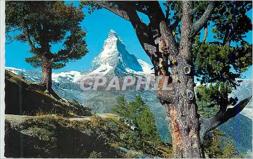 Moderne Karte Zermatt Riffelalp Mit Matterhorn 4476 m