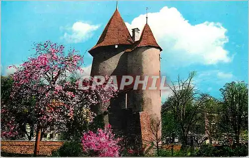 Cartes postales moderne Sion La Tour des Sorcieres