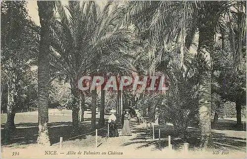 Cartes postales Nice Allee de Palmiers au Chateau