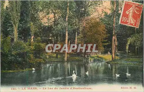 Cartes postales Le Mans Le Lac du Jardin d'Horticulture