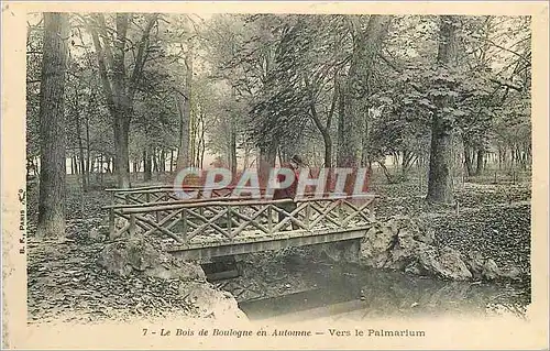 Cartes postales Bois de Boulogne en Automne Vers le Palmaium