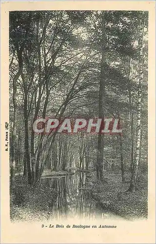 Cartes postales Bois de Boulogne en Automne