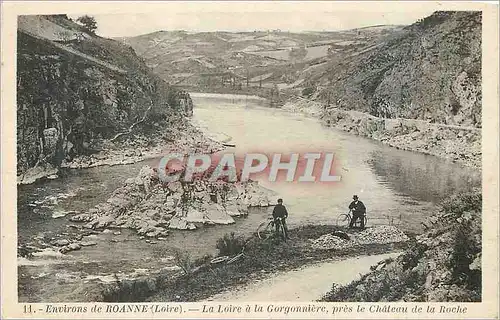 Cartes postales Environs de Roanne (Loire) la Loire a la Gorgonniere pres le Chateau de la Roche