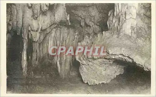 Ansichtskarte AK Grottes d'Arcy sur Cure (Yonne) le Pilier et la Coquille St Jacques